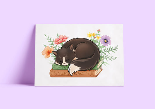 Cat on Books Art Print