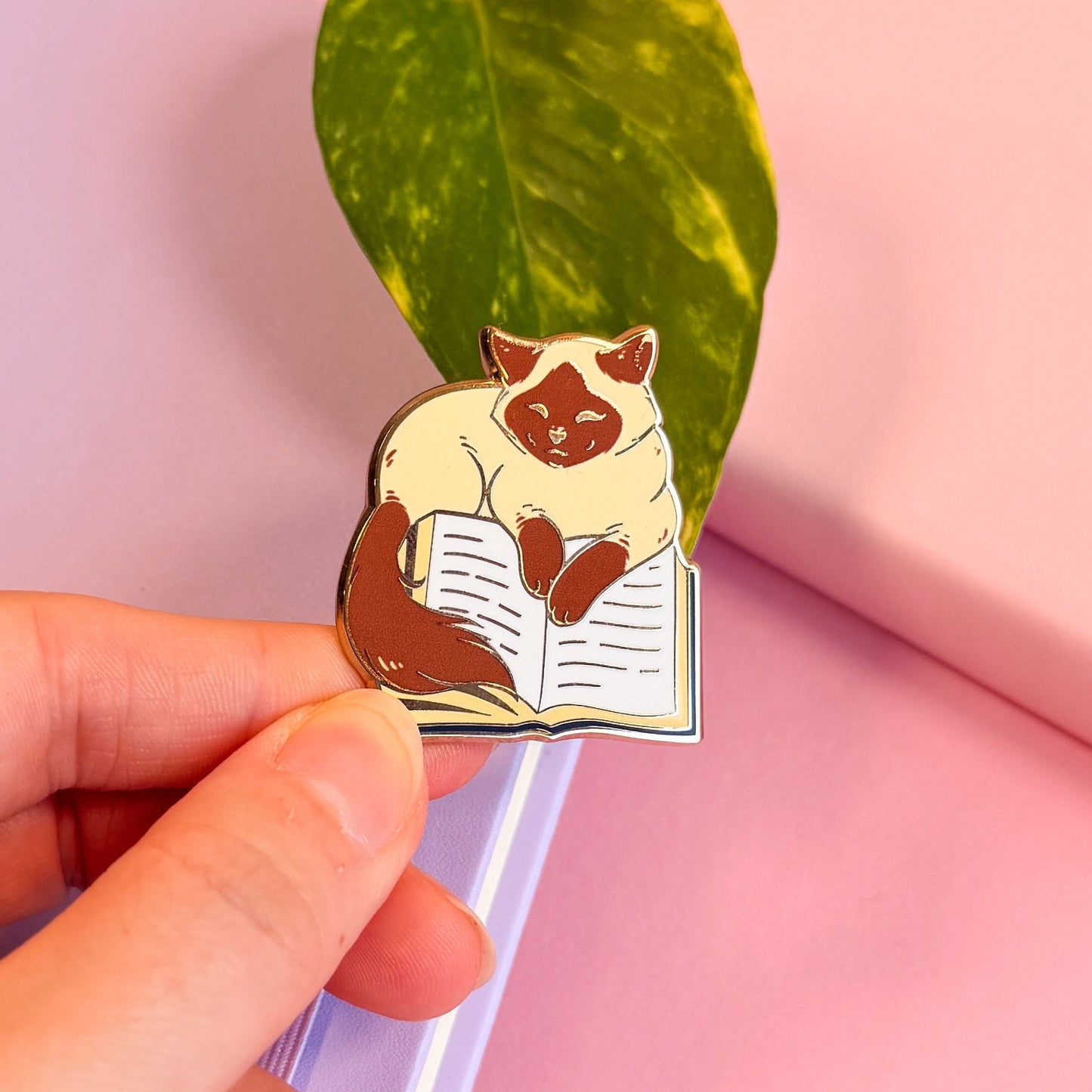 Cat on book Enamel Pin